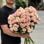 Троянда півонієвидна кущова Britney