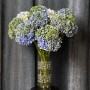 Hydrangea Mix in Green and Blue Tones