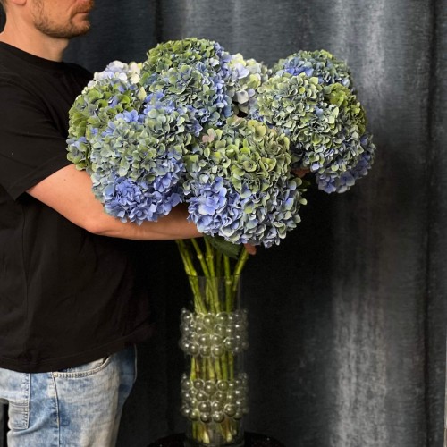 Hydrangea Mix in Green and Blue Tones