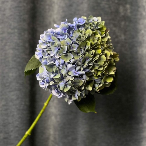 Hydrangea Mix in Green and Blue Tones