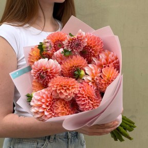 Bouquet with 15 Peach Dahlias «Juicy Apricots»