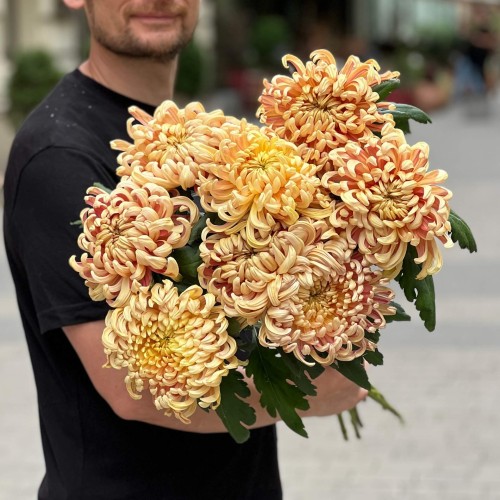 Vienna Copper Chrysanthemum