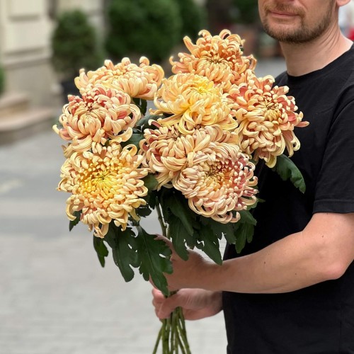 Vienna Copper Chrysanthemum