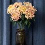 Vienna Copper Chrysanthemum