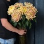Vienna Copper Chrysanthemum