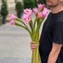 Амаркрінум рожевий