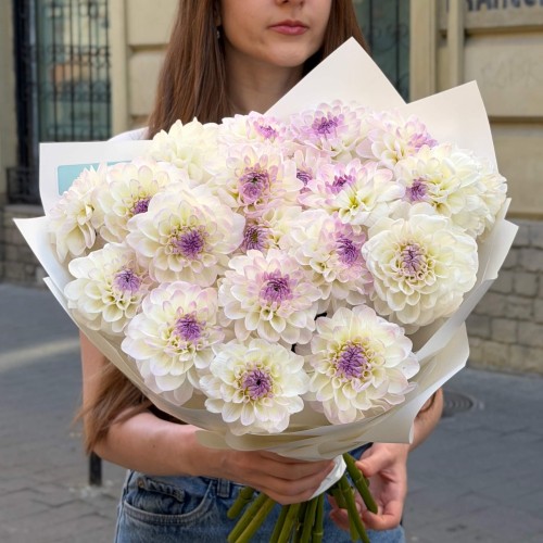 Light Bouquet with 21 Eveline Dahlias «Desired Gift»