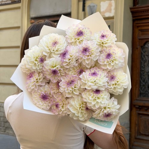 Light Bouquet with 21 Eveline Dahlias «Desired Gift»