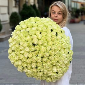 Bouquet of 151 Moonstone Peony Roses «Apple Sorbet»