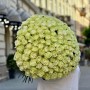 Bouquet of 151 Moonstone Peony Roses «Apple Sorbet»