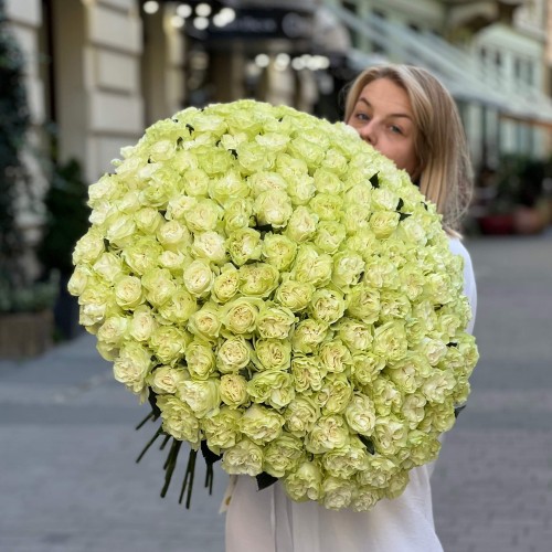 Bouquet of 151 Moonstone Peony Roses «Apple Sorbet»