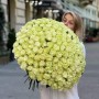Bouquet of 151 Moonstone Peony Roses «Apple Sorbet»