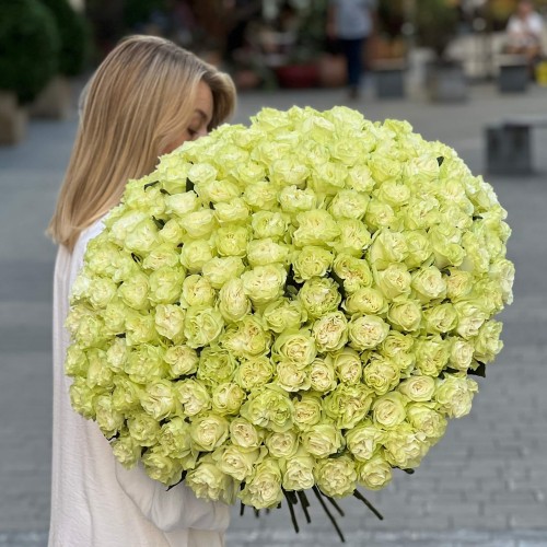 Bouquet of 151 Moonstone Peony Roses «Apple Sorbet»