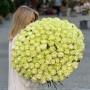 Bouquet of 151 Moonstone Peony Roses «Apple Sorbet»