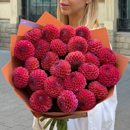 Bouquet of 25 Caitlin's Joy Dahlias «Kisses at Dawn»