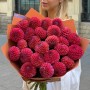 Bouquet of 25 Caitlin's Joy Dahlias «Kisses at Dawn»