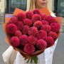 Bouquet of 25 Caitlin's Joy Dahlias «Kisses at Dawn»