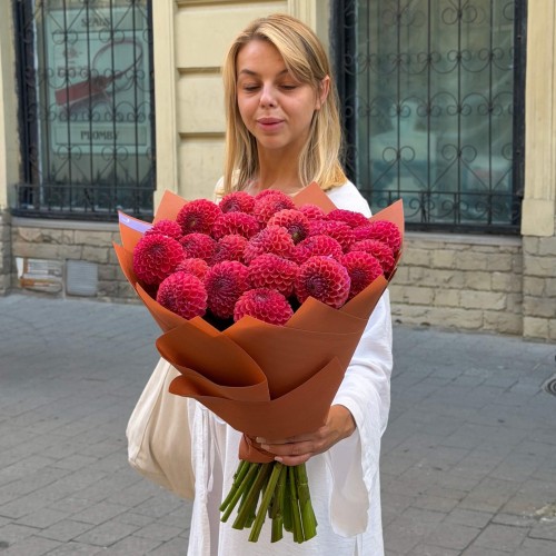 Bouquet of 25 Caitlin's Joy Dahlias «Kisses at Dawn»