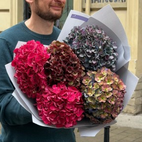 Bouquet of 5 Autumn Hydrangeas «Autumn Crimson»