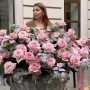 Розкішний кошик із півонієвидними трояндами Pink O’Hara у садовому стилі «Коли приходить любов»