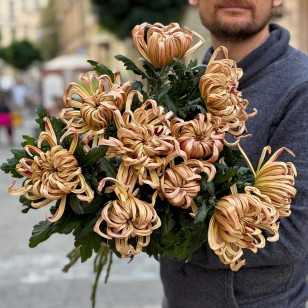 Хризантема Vienna Copper