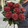 Хризантема Bigoudi Red