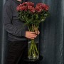 Хризантема Bigoudi Red