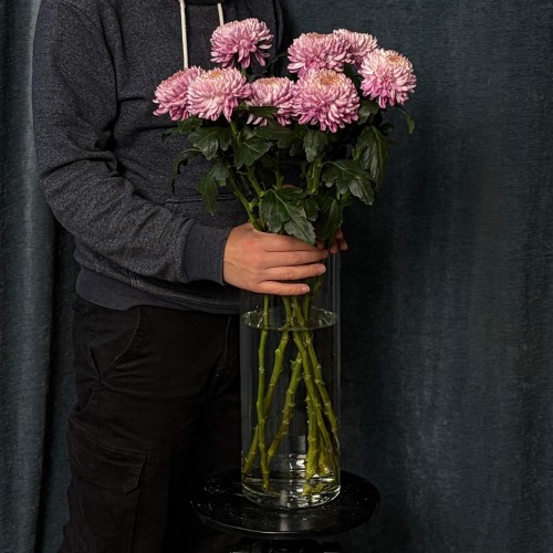 Хризантема Bigoudi Pink