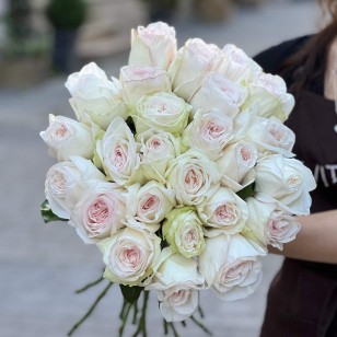 White O'Hara Peony Rose