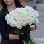 White O'Hara Peony Rose