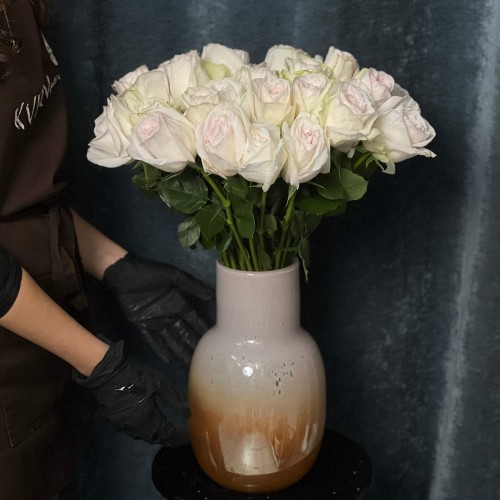 White O'Hara Peony Rose