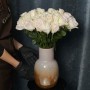 White O'Hara Peony Rose