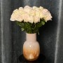 White O'Hara Peony Rose
