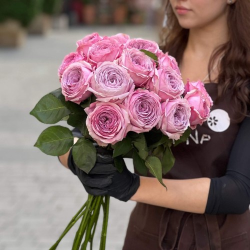 Peony Kiss Peony-Style Rose