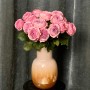 Peony Kiss Peony-Style Rose
