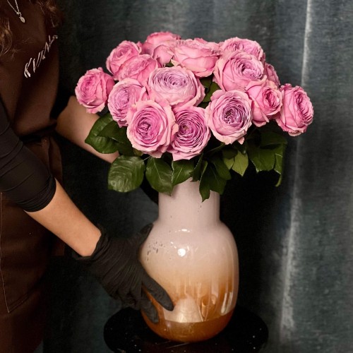 Peony Kiss Peony-Style Rose