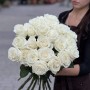 Playa Blanca Rose