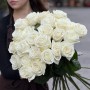 Playa Blanca Rose