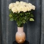 Playa Blanca Rose