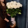 Playa Blanca Rose