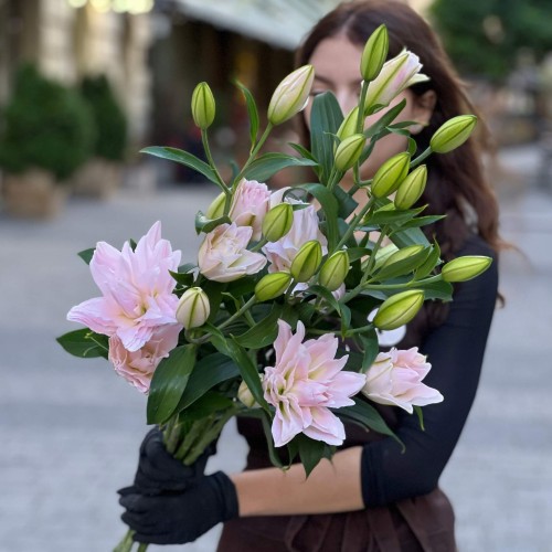 Amistad Double Lily