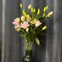 Amistad Double Lily