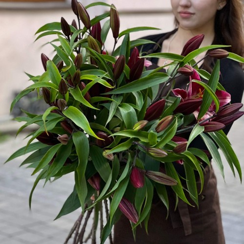 Petrolia Lily
