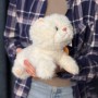 М'яка іграшка «Котик Муркотик»