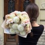 Mix of 17 Dahlias «Pearlescent Pearls»