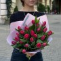 25 тюльпанів сорту Pacha у букеті «Вишневі льодяники»