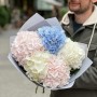 5 нежных гортензий в букете «Небесный маршмеллоу»