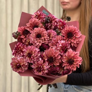 Bouquet of 19 Dark Night Silence Dahlias «Mysterious Dreams»