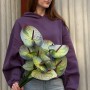 Exclusive Polar Light Anthuriums
