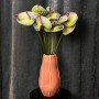 Exclusive Polar Light Anthuriums
